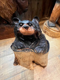 Small Bear Sitting in Log