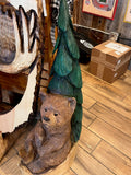 Bear by Pine Tree