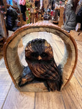 Owl in Log