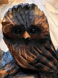Owl in Log
