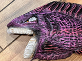 Purple Fish