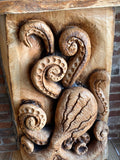 Octopus Shelf