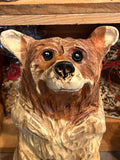 Cedar Bear