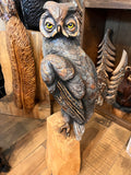 Perched Owl