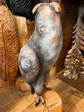 Perched Owl
