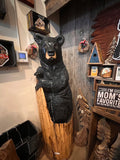 Big Bear in Stump