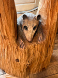 Hillbilly Bar with Possum