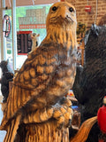Eagle