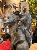 Possum Family