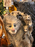 Possum Family