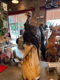 Turkey Perched on Stump