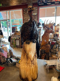 Turkey Perched on Stump