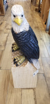 Chainsaw Carved Eagle