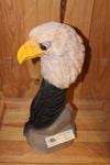 Eagle Bust on Feather