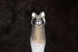 Raccoon Pen
