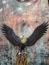 Eagle with wings spread